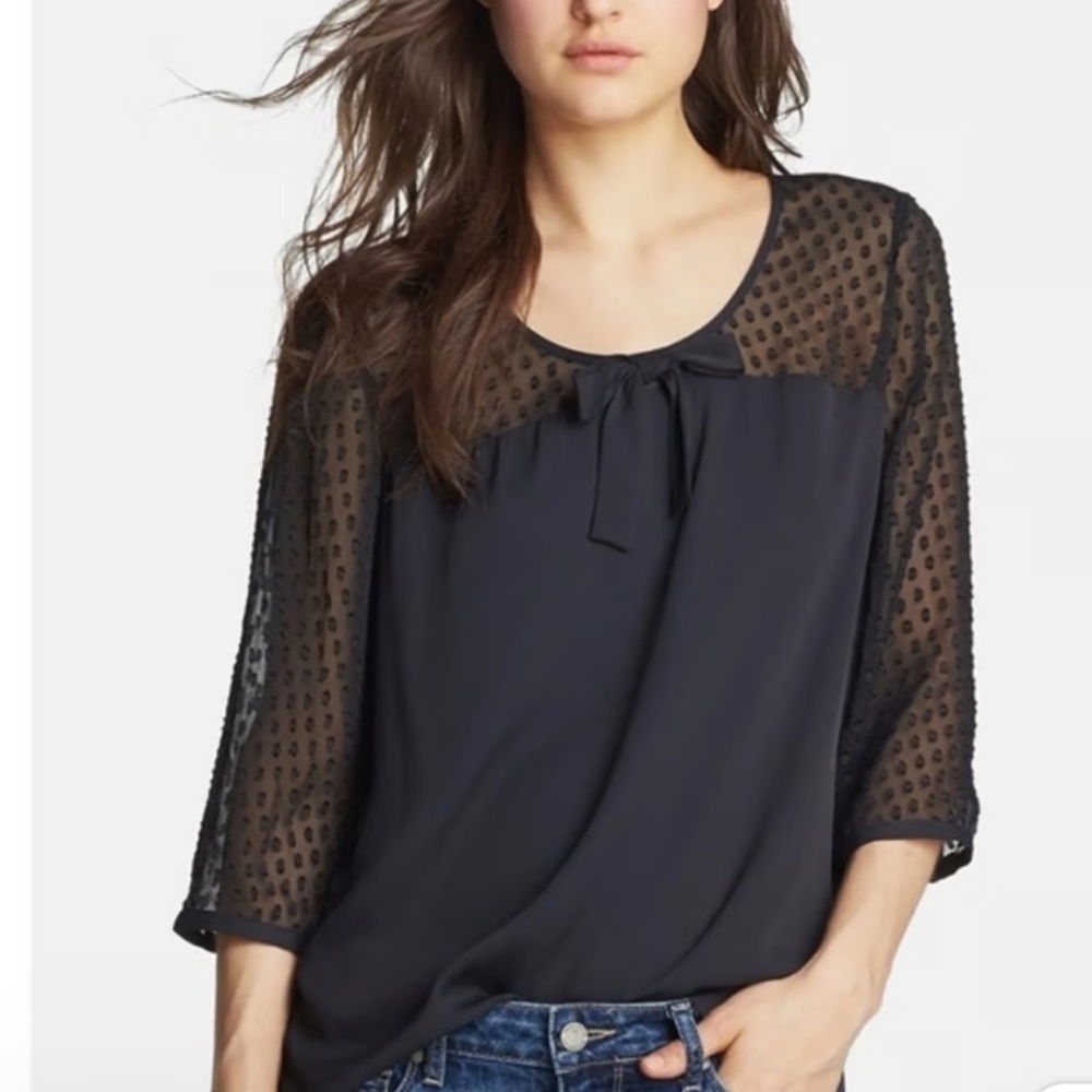 Hinge Sheer Sleeve Blouse
